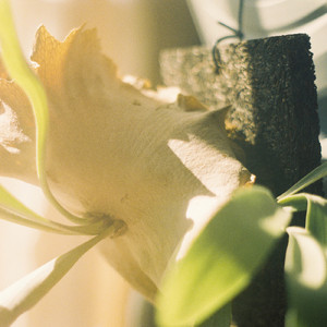 ジャンクパーツ