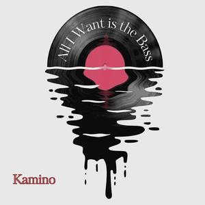 All I Want is the Bass