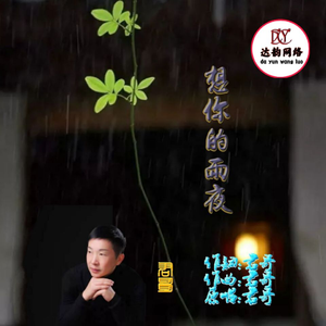 想你的雨夜