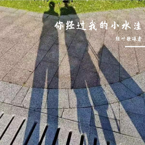你经过我的小水洼