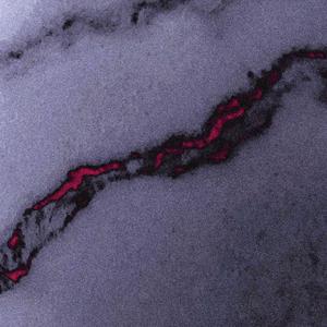 Asodica