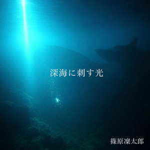 深海に刺す光