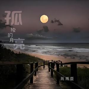 孤独的月亮