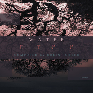 Water Tree (Solo Piano)