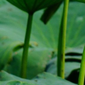 我们的后天（轻音乐）