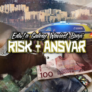 Risk + Ansvar