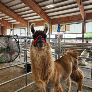 Clickbait (you want it to seem)