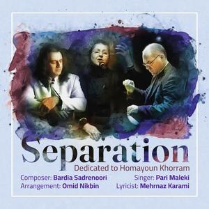 Separation (feat. Pari Maleki & Omid Nik bin)