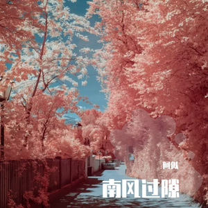 南风过隙