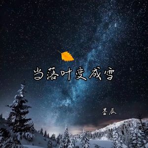 当落叶变成雪