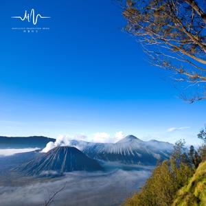 寻梦花语 (舒缓古筝钢琴)