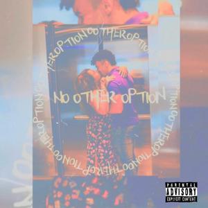 NOOTHEROPTION