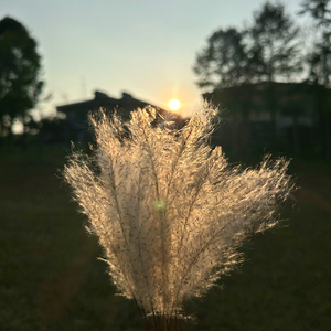 限制唉（prod by Aybeat）