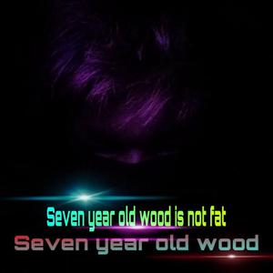 Faded -（混音版）