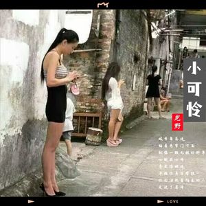 城市角落边的小可怜