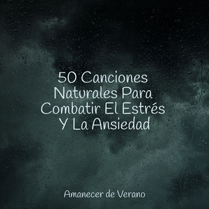 Oasis Suavemente Derivando