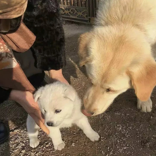 一起看日出到日落