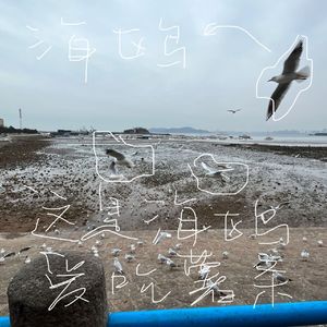 海鸥先生我爱你