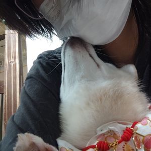 银河系多了颗伤心爱人 wav