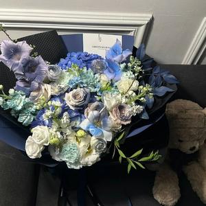 阳光下的星星1.3x