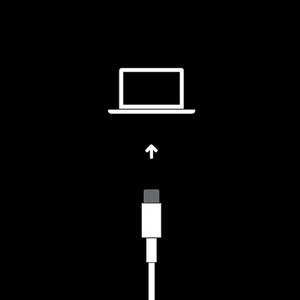 System Startup