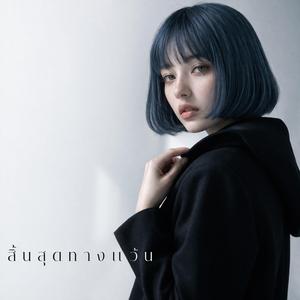 สิ้นสุดทางแว้น