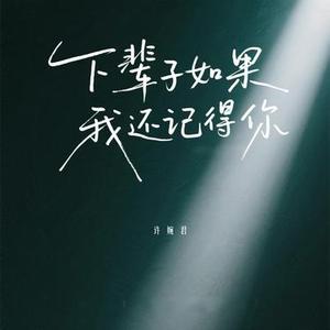 下辈子如果我还记得你