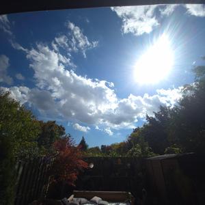 Master of the Unfinished Room