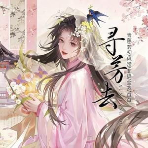 寻芳去