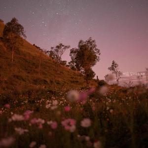 마음을 달래주는 노래