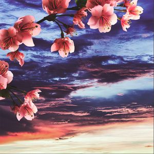Love Spring