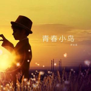 青春小鸟