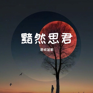 黯然思君（《天龙八部》插曲 - 箫版）