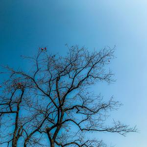 总在四下无人的夜里想起你