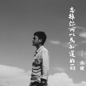 我们像流星一样