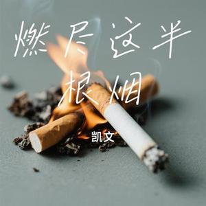 燃尽这半根烟