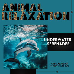 Music for Cat Relaxation