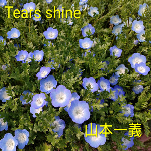 めぐり逢い