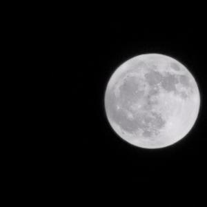 你最后离开了青岛再也没有回来