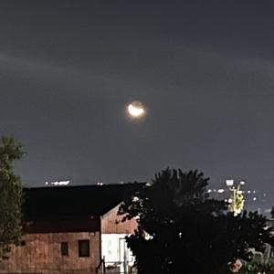 Touch of My Love (7)