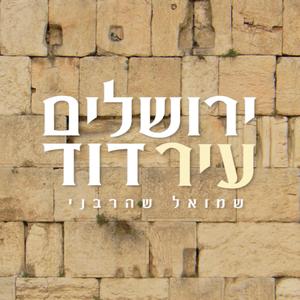 ירושלים עיר דוד