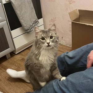 Владивосток