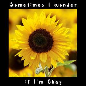 Sometimes I Wonder if I'm Okay