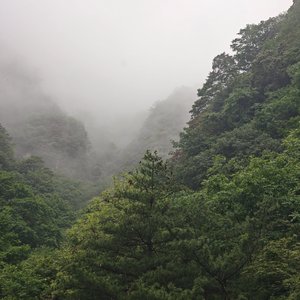 自然快乐乐章 伴奏