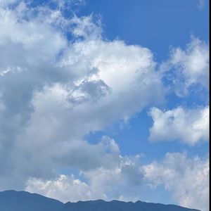 一花一世界-哲 伴奏