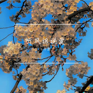 离开我的依赖（降调版）