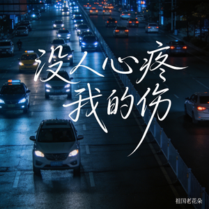 没人心疼我的伤（R&B版）