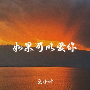 如果可以再爱你