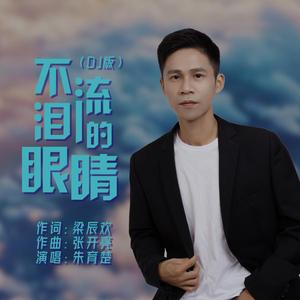 不流泪的眼睛 (DJ版)