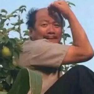 梁正聪-zrp（Z吻安 remix）